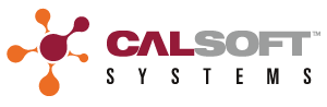 Calsoft Systems | ERP, Network, IT Services