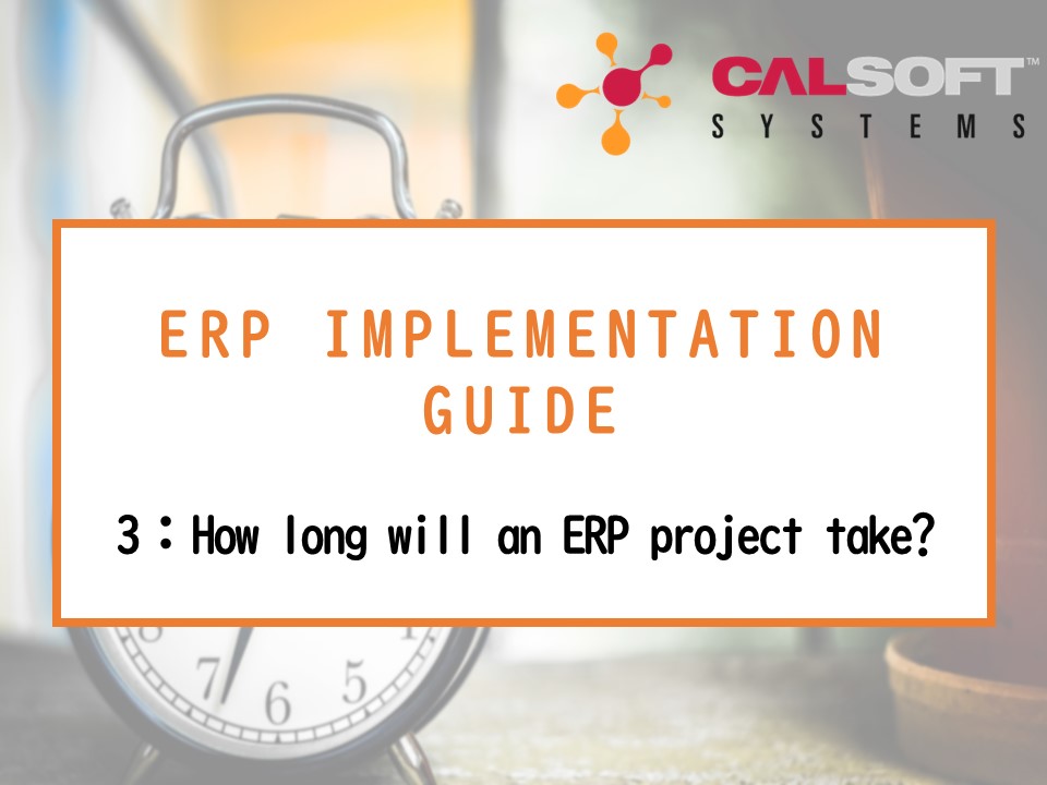 ERP implementation guide