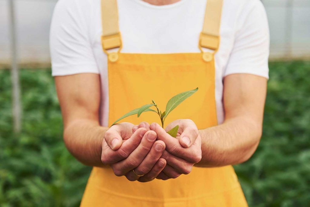 man holding young plants