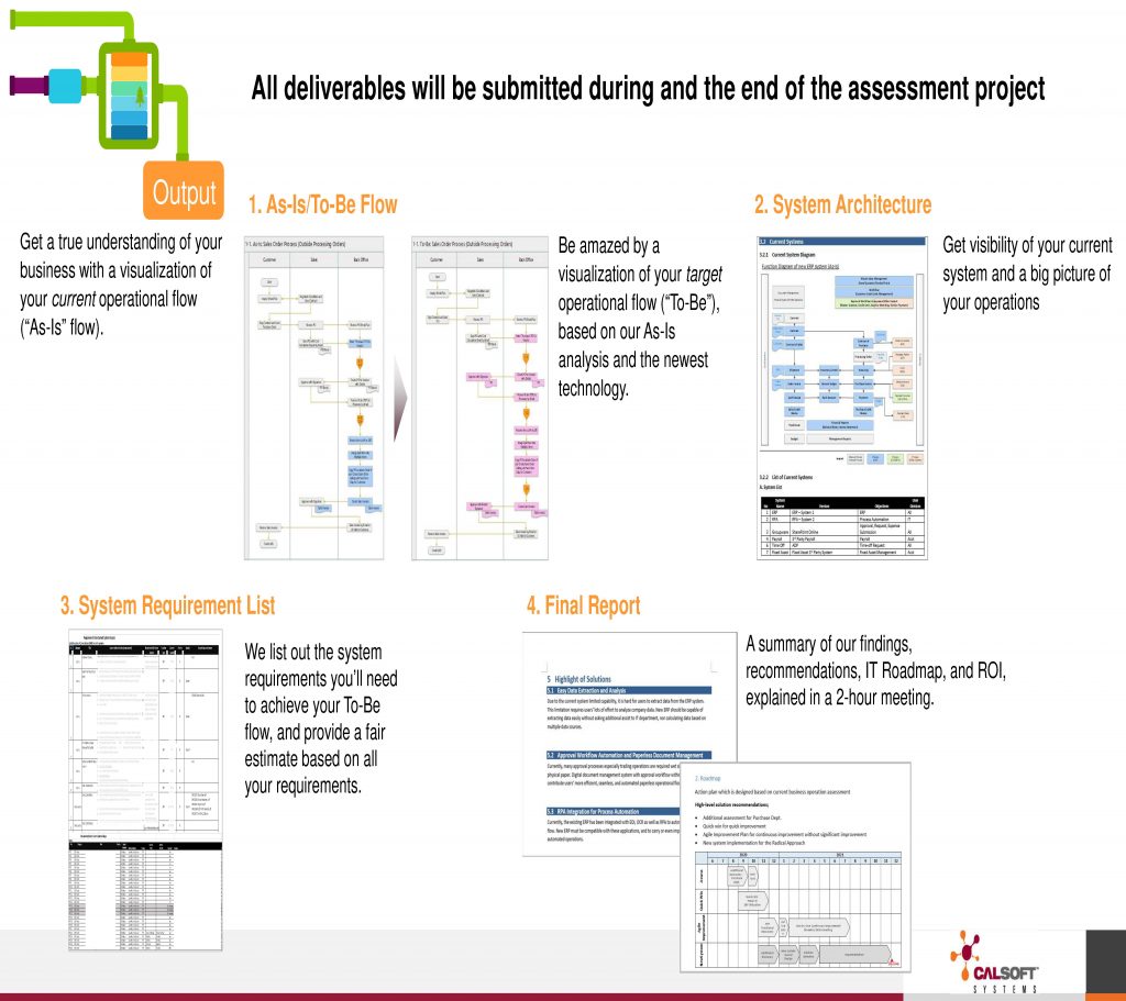 ERP assessment deliverables