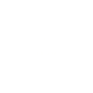 Microsoft partner of the year