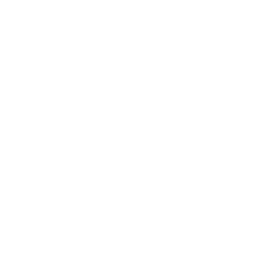 Microsoft Partner of the Year