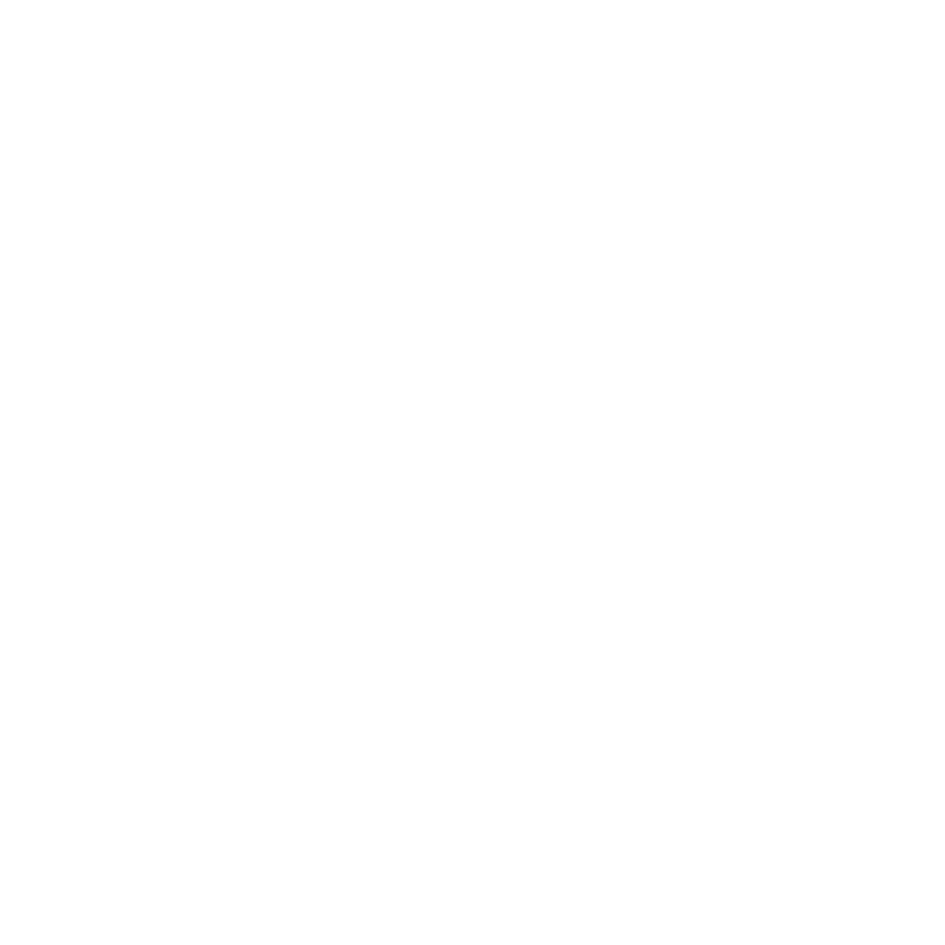 Microsoft Partner of the Year