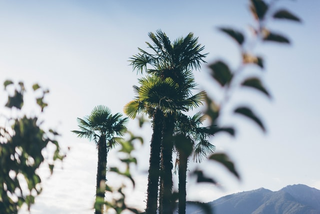 los angeles
